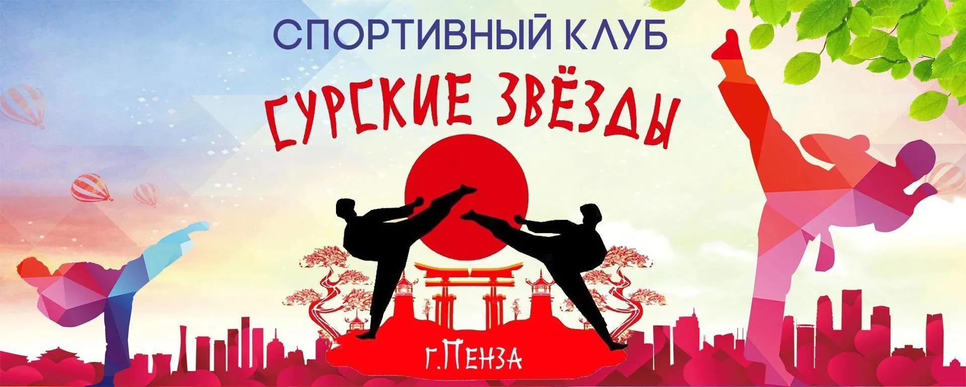 Школа боевых искусств Сурские звёзды